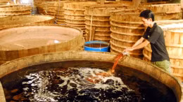 Đề nghị công nhận nước mắm là di sản văn hóa phi vật thể của Việt Nam