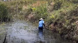 Truyền thông Đức phản ánh phương pháp nông dân Việt Nam ứng phó với biến đổi khí hậu