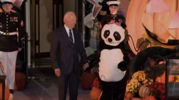 Đệ nhất Phu nhân Jill Biden hóa trang thành gấu trúc cho mùa lễ hội Halloween