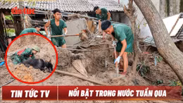 Tin tức TV: Tập trung khắc phục hậu quả cơn bão số 3; Xét xử vụ án Vạn Thịnh Phát giai đoạn 2