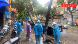 Hà Nội tăng cường lực lượng xử lý cây gãy đổ trong bão số 3 Yagi