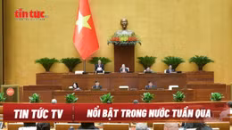 Tin tức TV: Bộ Chính trị xem xét, thi hành kỷ luật tổ chức đảng, đảng viên; Quốc hội chất vấn và trả lời chất vấn