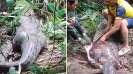 Sự thật đau lòng sau vụ mất tích của một phụ nữ ở Indonesia