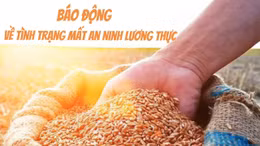 Tin tức TV: Báo động về tình trạng mất an ninh lương thực