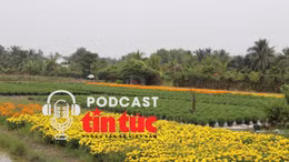 Tin nóng trong nước nghe nhanh sáng 30/11