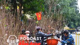 Tin nóng trong nước nghe nhanh sáng 25/11