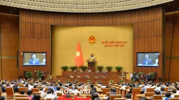 Tin nóng trong nước nghe nhanh sáng 8/11