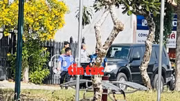 Tin nóng trong nước nghe nhanh sáng 31/3