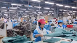 Thị trường lao động 'ấm' lại