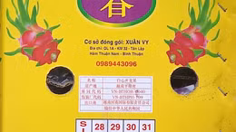 Trung Quốc giảm nhập khẩu thanh long Việt Nam