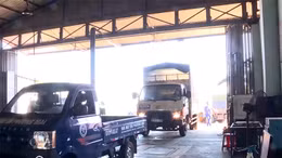 Gia Lai bắt tạm giam hai nguyên PGĐ Trung tâm Đăng kiểm