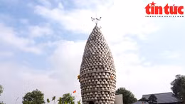 Chiêm ngưỡng "hạt lúa" khổng lồ được xác lập kỷ lục Việt Nam