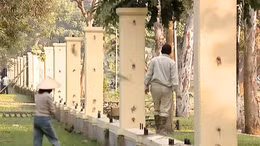 Tháo toàn bộ rào công viên Thống Nhất