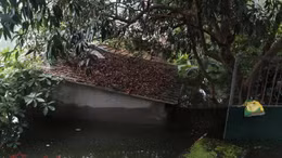 Chương Mỹ: 1/3 số hộ dân xã Tân Tiến bị ngập, gần 350 ha lúa, thủy sản bị ảnh hưởng