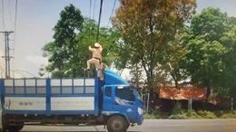 Trưng dụng xe tải gỡ thòng lọng chắn ngang đường gây nguy hiểm giao thông