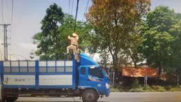 Trưng dụng xe tải gỡ thòng lọng chắn ngang đường gây nguy hiểm giao thông