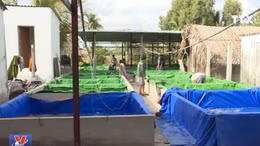 Xuất khẩu triệu đô từ cá cảnh