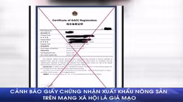 Cảnh báo giả mạo giấy chứng nhận xuất khẩu nông sản sang Trung Quốc