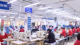 Đầu tháng 8 sẽ họp bàn tăng lương tối thiểu vùng năm 2024