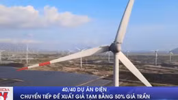 40/40 dự án điện chuyển tiếp đề xuất giá tạm bằng 50% giá trần