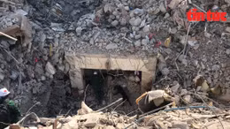 Lực lượng Bộ đội Biên phòng Việt Nam và chó nghiệp vụ tiếp tục tìm kiếm những nạn nhân trong đống đổ nát