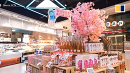 Cơn ‘sốt’ hoa anh đào bùng nổ tại Trung Quốc bất chấp dịch COVID-19