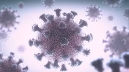 Virus SARS-CoV-2 lây nhiễm qua không khí