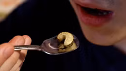 Món ăn chế biến từ côn trùng hút khách ở Nhật Bản