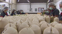 Bao bì làm từ tre và sắn