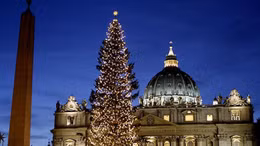 Vatican thắp sáng cây thông Noel