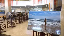 Hình ảnh biển đảo Việt Nam gây ấn tượng với người dân Nga