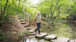 Nỗ lực biến hoang mạc thành rừng xanh