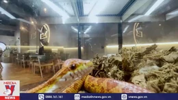 Quán cà phê 'bò sát' ở Malaysia