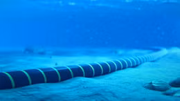 Tuyến cáp quang biển thứ 5 gặp sự cố