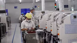 Nhiều doanh nghiệp Việt ngừng chuyển đổi số