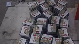 Phát hiện hàng nghìn viên thuốc tẩy giun nghi giả nhãn hiệu Fugacar