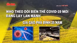 Tin tức TV: WHO theo dõi biến thể COVID-19 mới đang lây lan mạnh; Giá gạo phá đỉnh 15 năm
