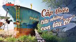 Tin tức TV: Cấp thiết cứu những con tàu '67'
