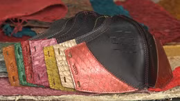 Khẩu trang da cá tại Peru