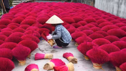 Hãng thông tấn Pháp làm phóng sự ấn tượng về làng hương Việt Nam dịp cận Tết