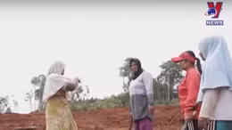 Nông dân Indonesia quyết giữ đất khi khai thác niken để sản xuất pin xe điện bùng nổ