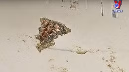 Chuyên gia xác nhận mảnh vỡ máy bay MH370