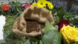 Xu hướng 'chôn cất xanh' tại Mỹ