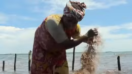 Canh tác tảo biển cải thiện đời sống phụ nữ Kenya