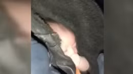 Những em bé tạo nên kỳ tích trong thảm hoạ động đất ở Thổ Nhĩ Kỳ 