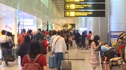 Đà Nẵng tạm dừng tour đi và đến các vùng có dịch