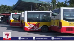 Cần gần 15.000 tỷ đồng để xanh hóa xe buýt Thủ đô