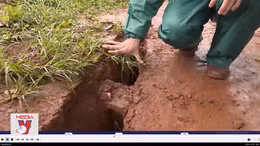 Cảnh báo các dấu hiệu nguy hiểm sạt lở đất