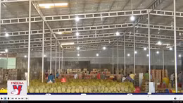 Xuất khẩu rau quả tăng kỷ lục