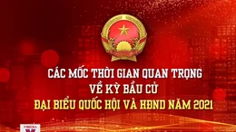 Các mốc thời gian quan trọng về ngày bầu cử đại biểu Quốc hội và HĐND năm 2021